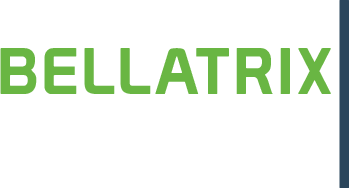 Bellatrix Verwaltungs- und Beteiligungs GmbH